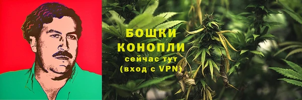шишки Горно-Алтайск