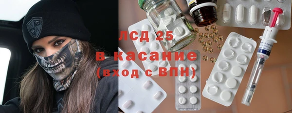 шишки Горно-Алтайск