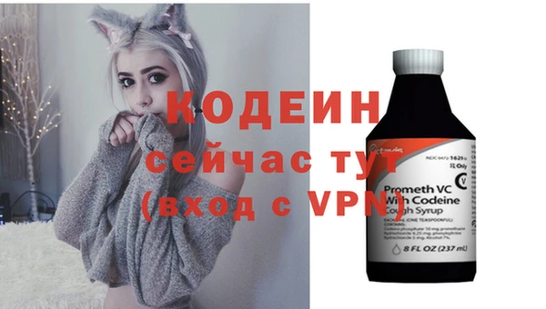 шишки Горно-Алтайск