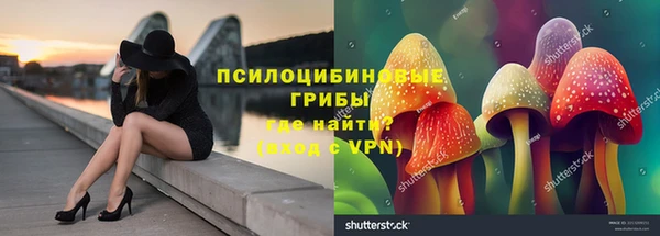 гидра Горнозаводск