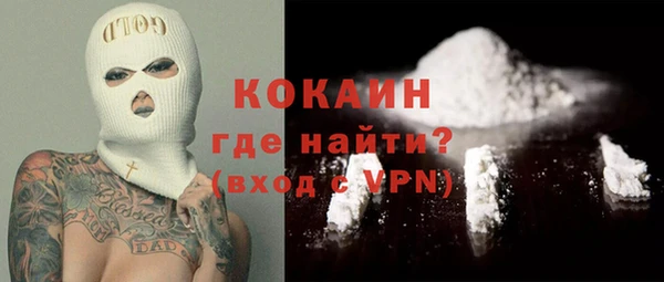 шишки Горно-Алтайск