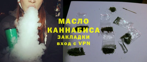 гидра Горнозаводск