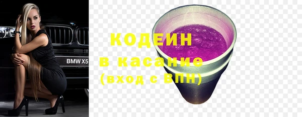 гидра Горнозаводск