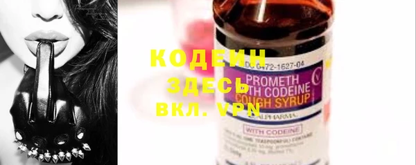 шишки Горно-Алтайск