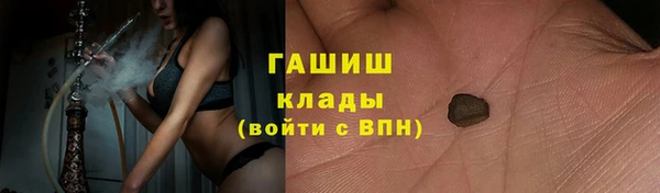шишки Горно-Алтайск