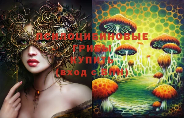 шишки Горно-Алтайск