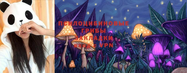ALPHA PVP Горняк