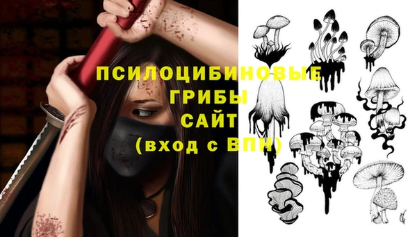 шишки Горно-Алтайск