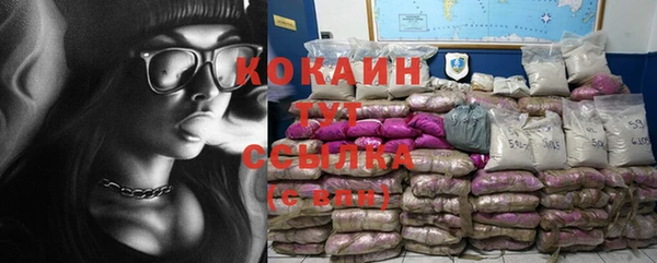 гидра Горнозаводск