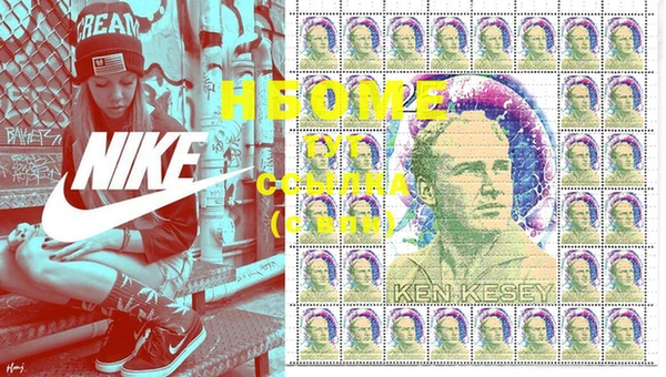шишки Горно-Алтайск