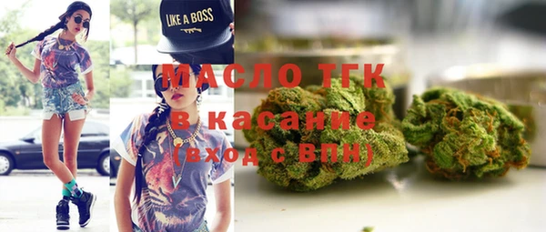 шишки Горно-Алтайск