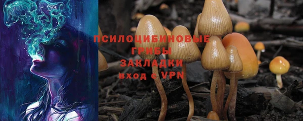 ALPHA PVP Горняк